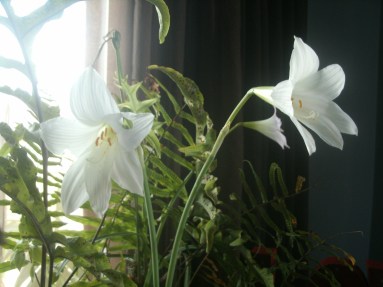 O Verdadeiro Sentido da Vida